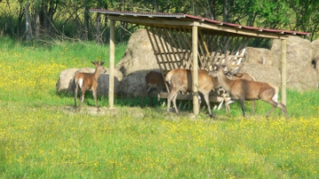 Ventspils Briežu dārzs – akcijas „Apceļo Kurzemi” dalībnieks