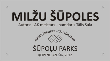 Ķeipenē atklās augstākās šūpoles Latvijā