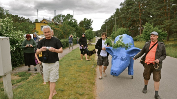 Kino, mākslas un kultūras festivāls ROJAL