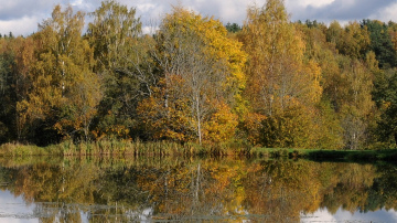 Fotoizstāde „ TE IR TAVA DZIMTENE”