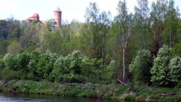 Siguldā ievas uzziedēs 18.maijā!