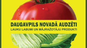 Daugavpilī darbu uzsāk lauksaimniecības produkcijas vakara tirgus