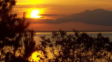 10 iemesli atbraukt uz Jūrmalu jūlijā