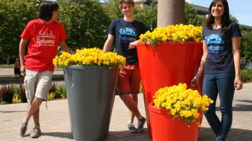 Ziedošais jūnija vidus Tukumā