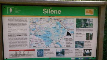 Silene – unikāla vieta Latvijas-Baltkrievijas pierobežā