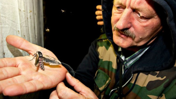 Iepazīsti kukaiņu pasauli dabas parkā „Numernes valnis”