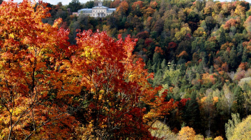 Siguldā un Gaujas senielejā ir sācies zelta rudens