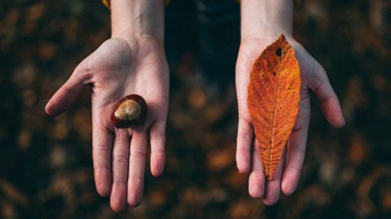 18. novembrī cildinās Kārsavas novada Goda pilsoņus 