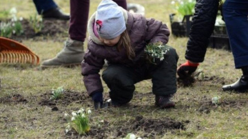 Ventspils mēģinās uzstādīt jaunu Ginesa pasaules rekordu