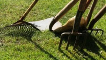 VARAM un tās padotības iestāžu darbinieki Lielās Talkas laikā stādīs ozolus Gaujas nacionālajā parkā