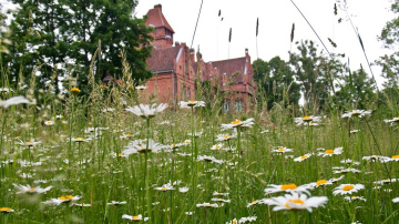 Laiks izkustēties pirms Līgo svētkiem!