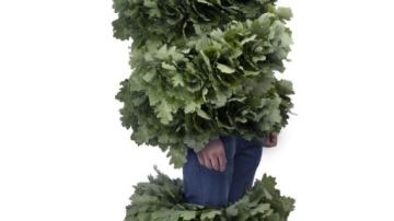 Visatbildīgākie līgotāji mīt Kurzemē