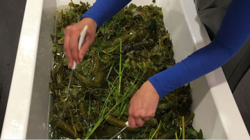 „MARINĀDE” Mākslinieku namā