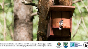 Nāc uz putnu būrīšu darbnīcu dabas parkā „Numernes valnis”