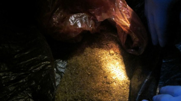 Nelegālo narkotisko un psihotropo vielu aprites jomā aizturētas vairākas personas