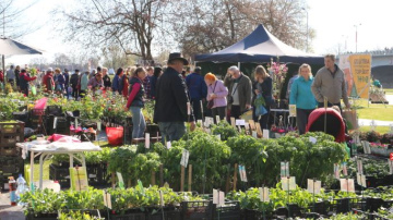 Jelgavā jau desmito reizi notiks Latvijas Stādu dienas