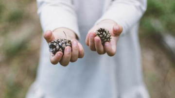 Aizraujošs izziņas pārgājiens dabas parkā „Numernes valnis”
