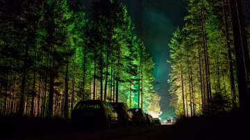 Nakts putnu vērošana dabas parkā “Numernes valnis”