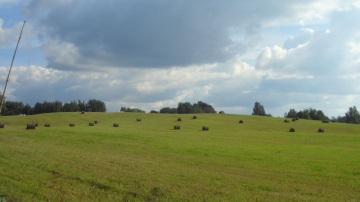 Kurzemē situācija ir kritiska