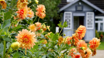 Rudens saulgriežu nedēļas nogale Tukumā un apkārtnē