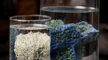 “Jūras vārtos” atklās porcelāna izstādi