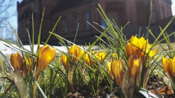 Sieviešu dienas pasākumi Tukuma pusē