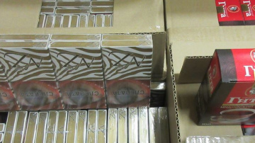 Automašīnas kravā tējas vietā muitas amatpersonas atklāj 714 tūkstošus kontrabandas cigarešu