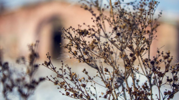 Novadpētniecības konference “Daugavpils cietoksnis un tā iemītnieki”