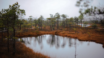 Februāra pirmās nedēļas nogales pasākumi Tukumā un apkārtnē