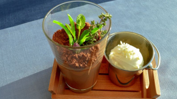 NEDĒĻAS NOGALES PASĀKUMI DAUGAVPILĪ