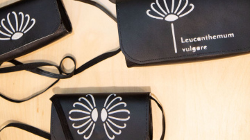 Apgūsti lāzertehnoloģijas un mediju satura veidošanu tālmācībā!