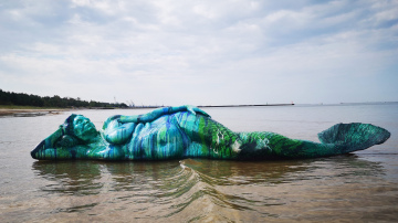 Liepājā pie Ziemeļu mola ir parādījusies nāra