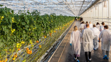 Mainīgās vasaras un COVID-19 ietekme uz lauku labumu ražu