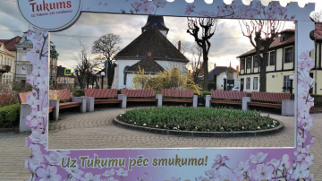 Maija ziedonis Tukuma pusē