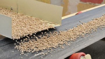 Graanul Invest plāno jaunas koksnes granulu rūpnīcas izveidi Brocēnos