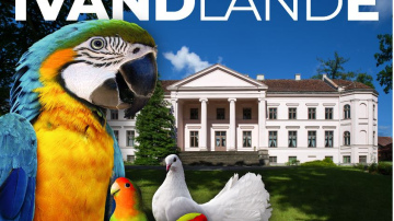 Īvandes muiža pārtop par Īvandlandi ģimenēm ar eksotisku putnu un trušu dārzu un multimediālu izstādi “Dzīvās gleznas”