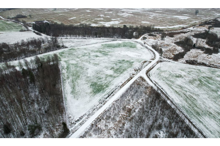 “Latio”: Atšķirība starp reģistros fiksētajām un reālajām LIZ nomas maksām ir ievērojama – līdz pat  90%