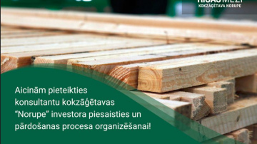 RĪGAS MEŽI aicina pieteikties konsultantu kokzāģētavas “Norupe” investora piesaisties un pārdošanas procesa organizēšana