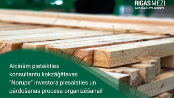 RĪGAS MEŽI aicina pieteikties konsultantu kokzāģētavas “Norupe” investora piesaisties un pārdošanas procesa organizēšana