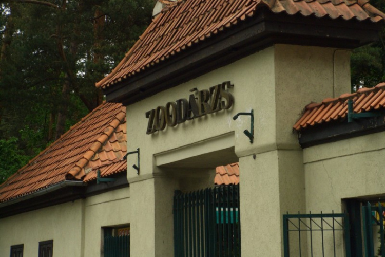 Putnu dienas Rīgas Zoodārzā