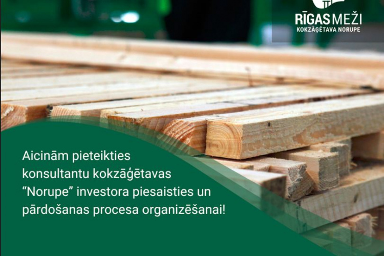 RĪGAS MEŽI aicina pieteikties konsultantu kokzāģētavas “Norupe” investora piesaisties un pārdošanas procesa organizēšana