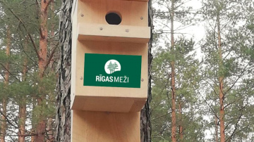 Lieldienās Lucavsalā notiks jau sestā RĪGAS MEŽU Pavasara putnu būrīšu meistarošanas darbnīca