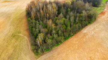 Lauki meklē saimnieku: vidējā aramzemes cena Latvijā -  zemākā Baltijā