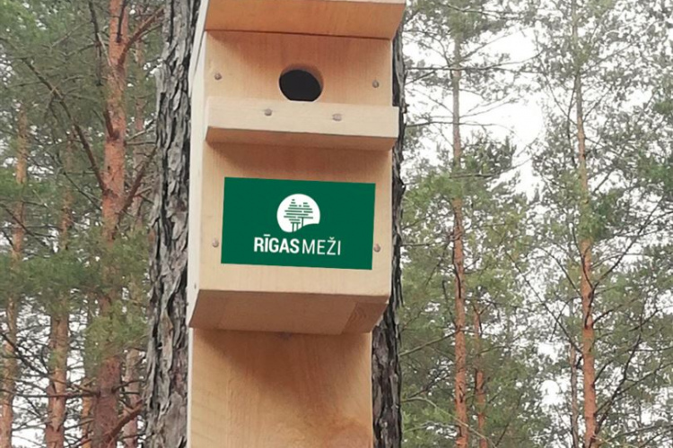 Lieldienās Lucavsalā notiks jau sestā RĪGAS MEŽU Pavasara putnu būrīšu meistarošanas darbnīca