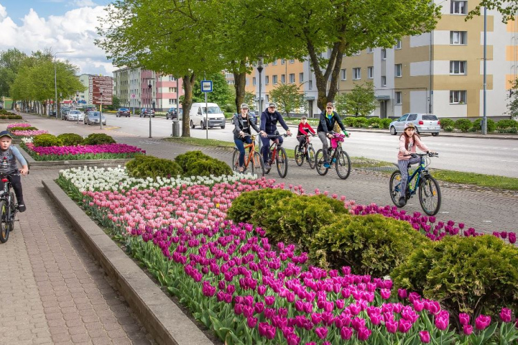 publicitates foto