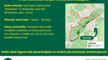 RĪGAS MEŽI izzāģēs bīstamos kokus Babītes pagastā, Tīreļu mežniecībā