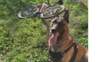 Valsts policija ar dienesta suni Marko pa karstām pēdām aiztur zagļus un atgūst zagtās mantas