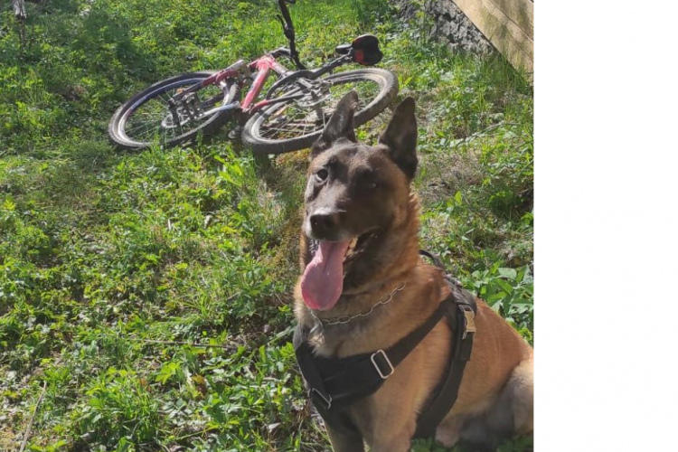 Valsts policija ar dienesta suni Marko pa karstām pēdām aiztur zagļus un atgūst zagtās mantas