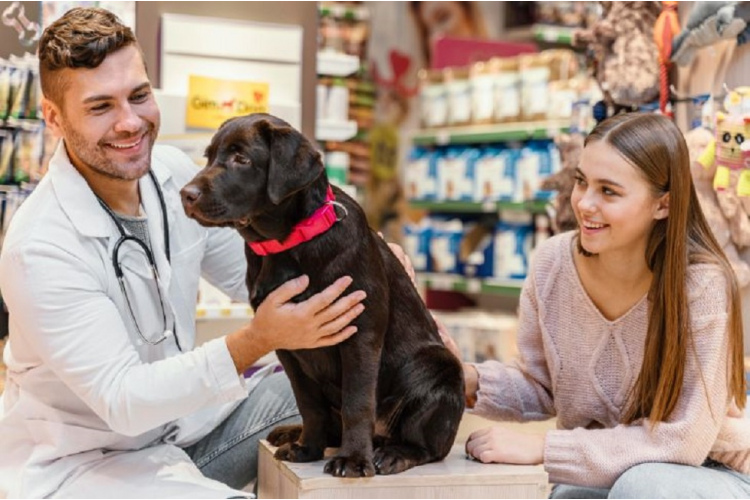 Kas jāzina un, ko ņemt līdzi apmeklējot veterināro aptieku?