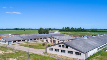 Luminor ar 924 tūkstošiem eiro atbalsta ZS “Romaņi 1” fermas rekonstrukciju